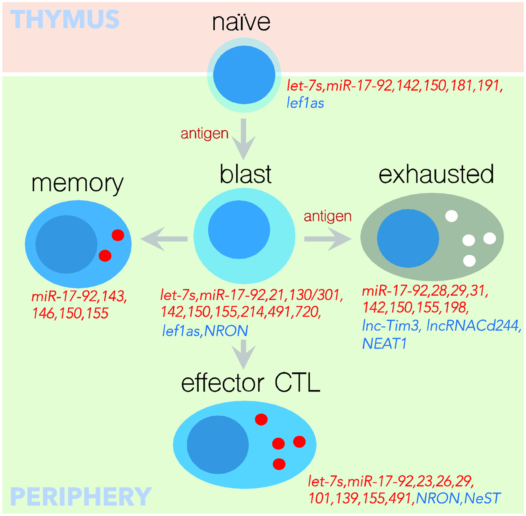 Figure-1.