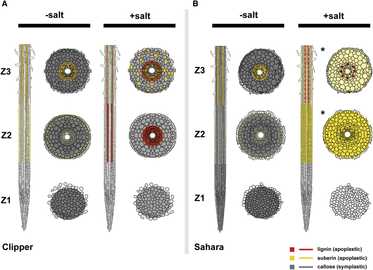 Figure 7