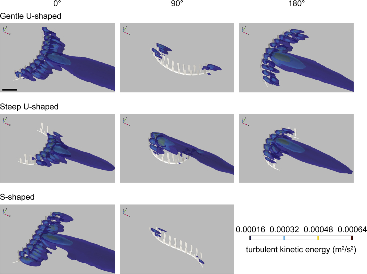 Figure 6