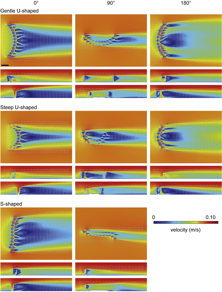 Figure 3