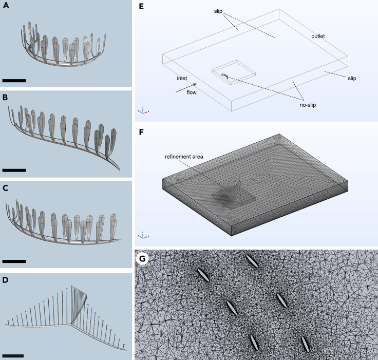 Figure 2