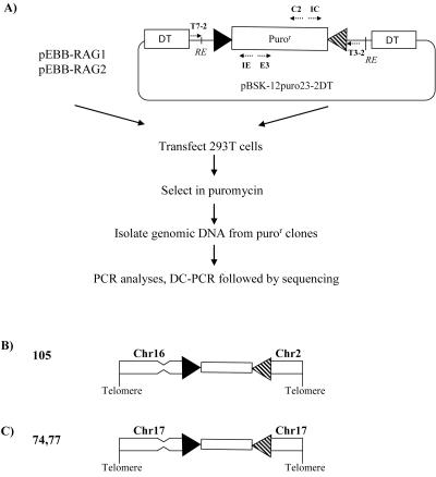 FIG. 4.