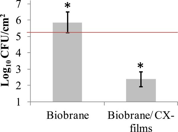 Figure 10