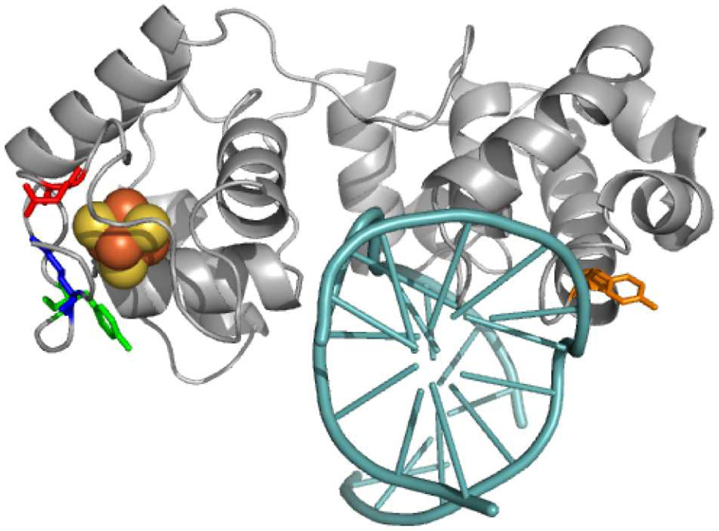 Figure 8