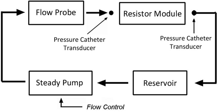 Fig 6