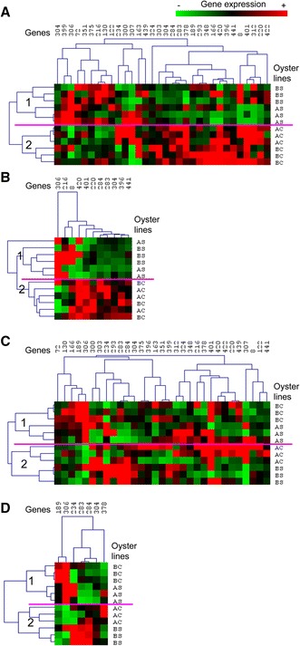 Figure 6