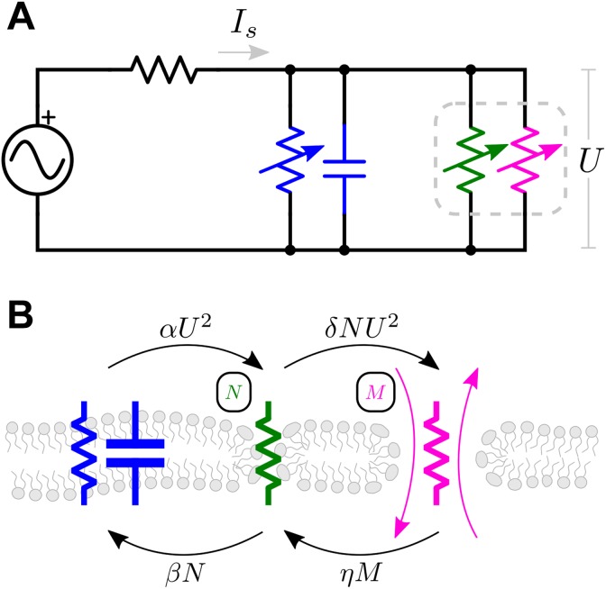 Figure 1.