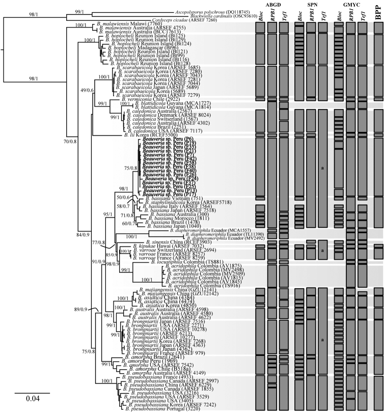 Figure 2.