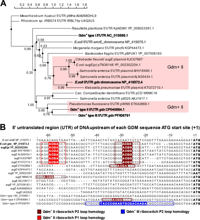 FIG 2