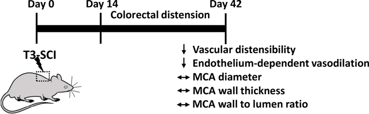 Figure 3: