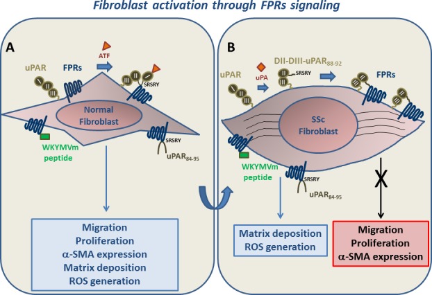 graphic file with name oncotarget-06-18736-g001.jpg