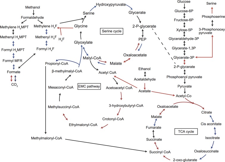 Fig 3