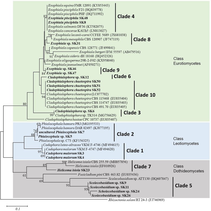 FIGURE 1