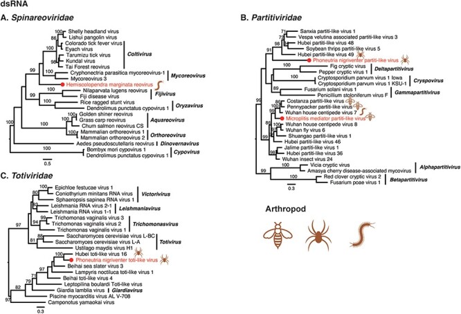 Figure 5.