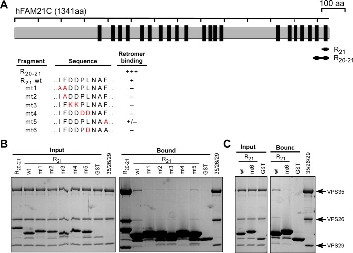 FIGURE 6: