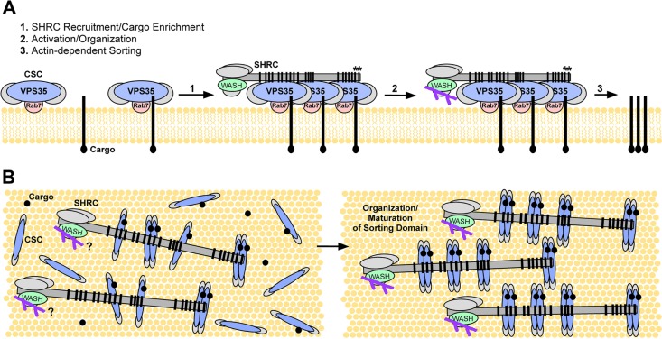 FIGURE 7: