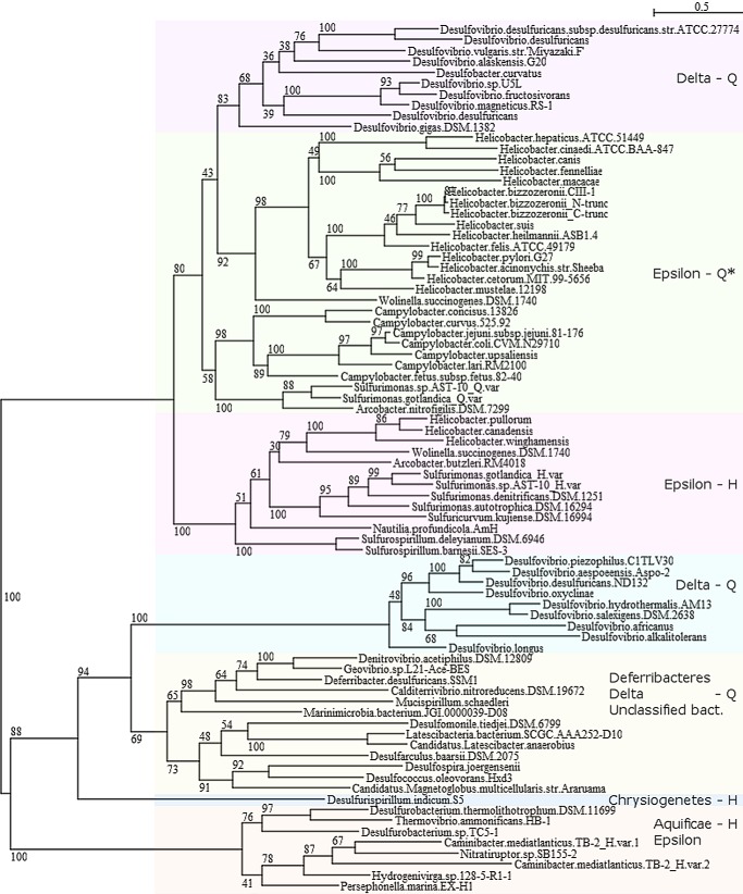 FIGURE 10.