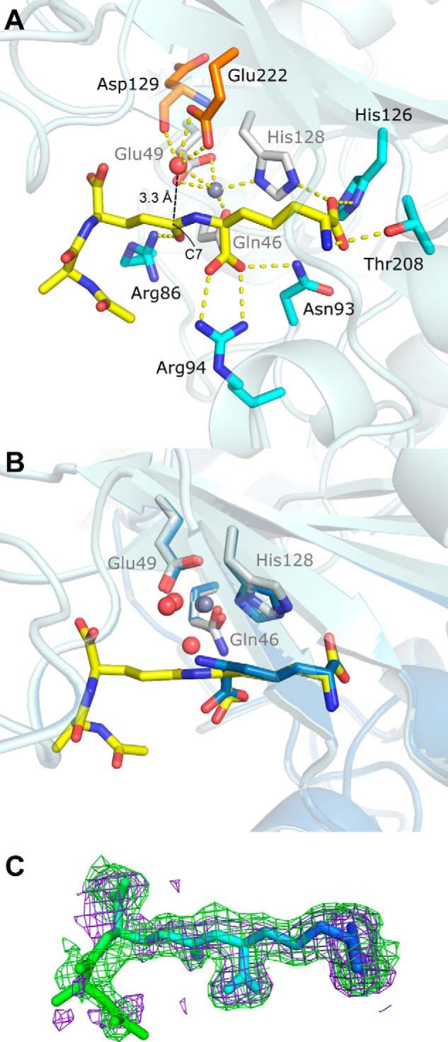 FIGURE 4.