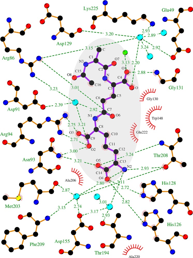 FIGURE 5.