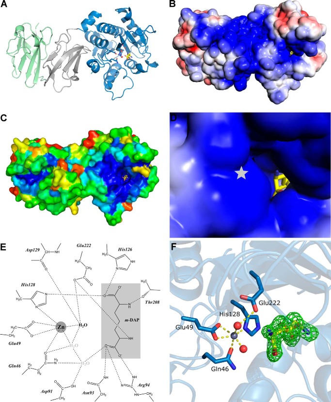 FIGURE 2.