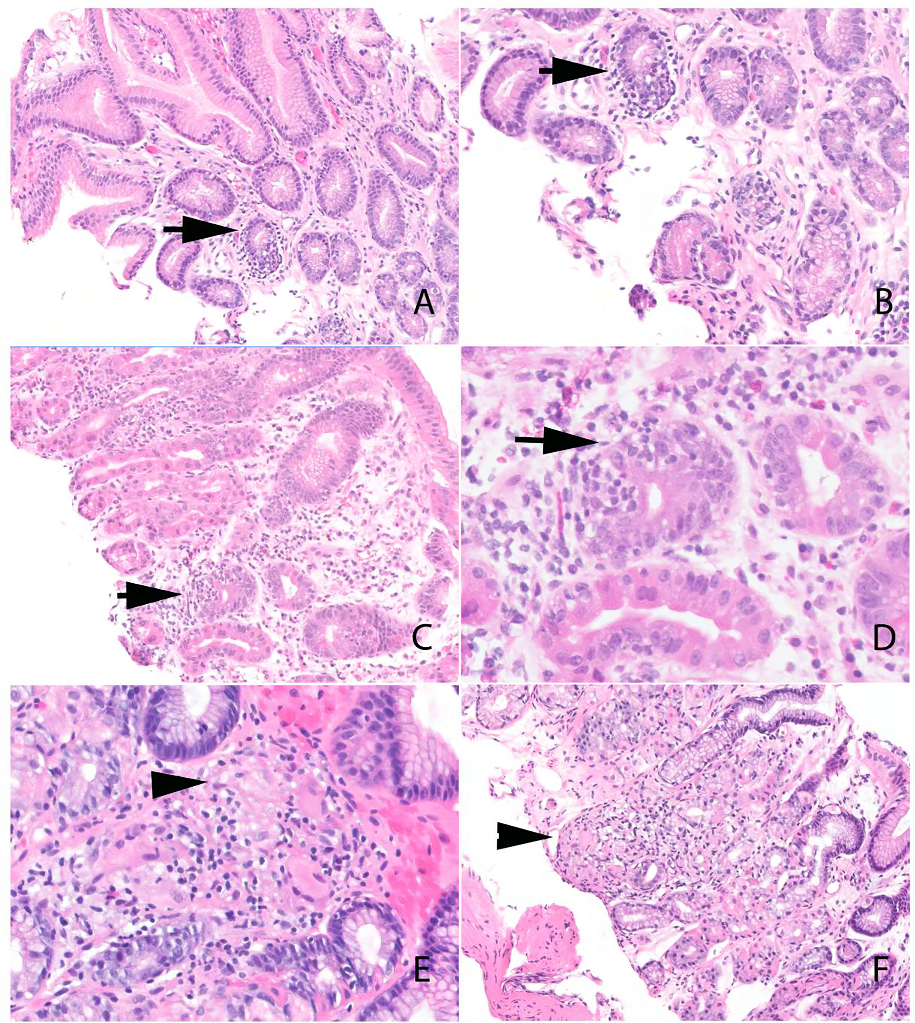 Figure 1: