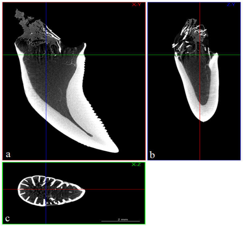 Figure 7