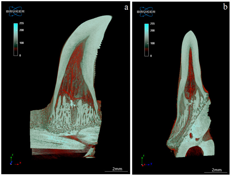 Figure 13