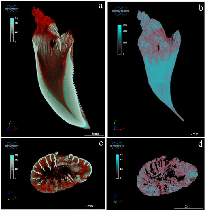 Figure 12