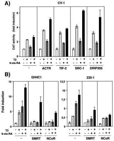 FIG. 10.