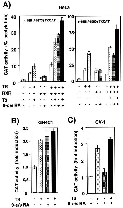 FIG. 6.