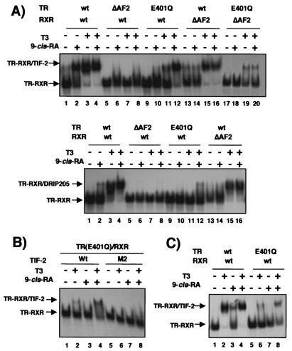 FIG. 8.