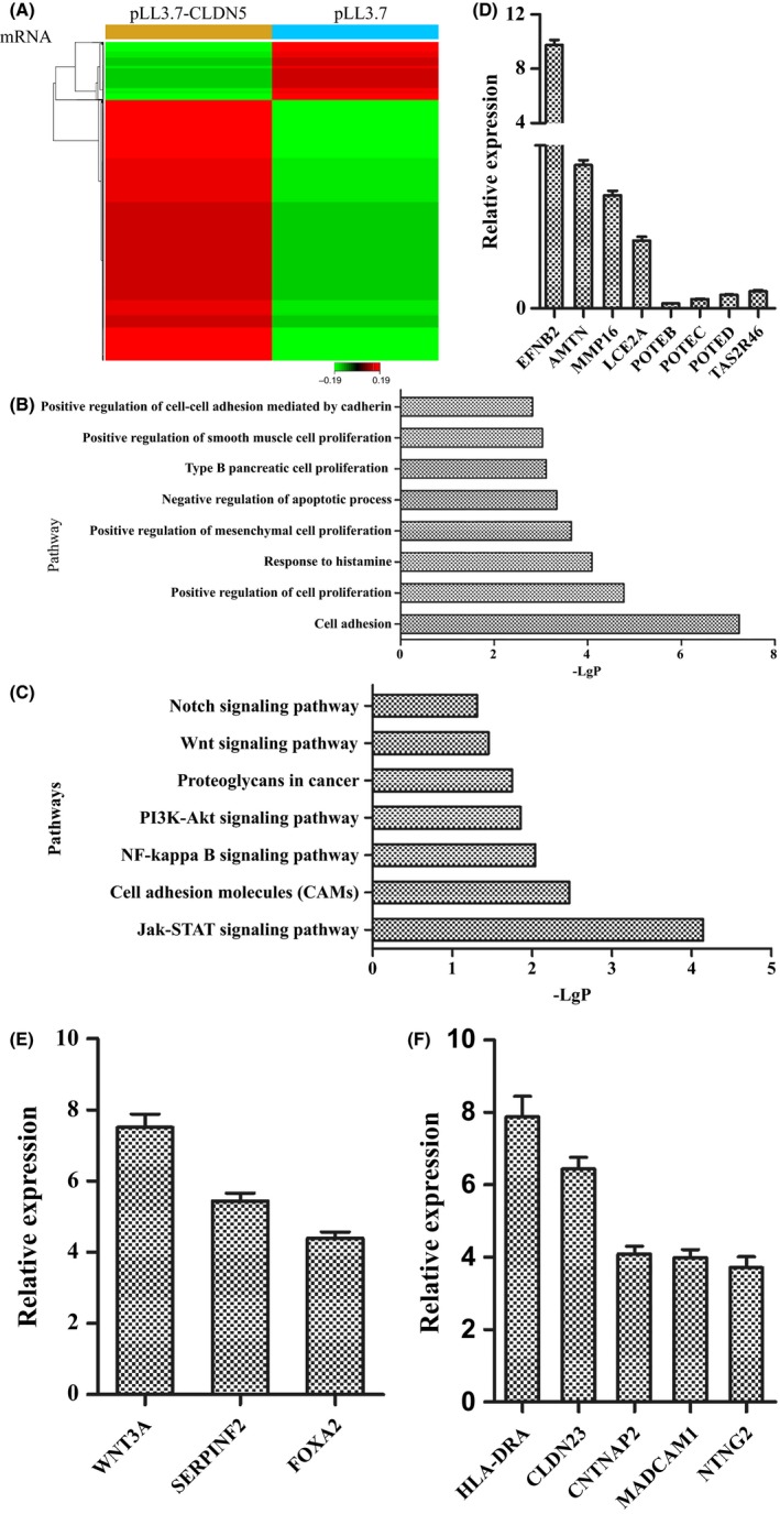 Figure 5