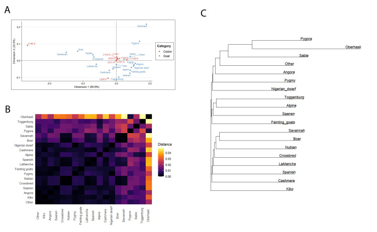 Fig 10