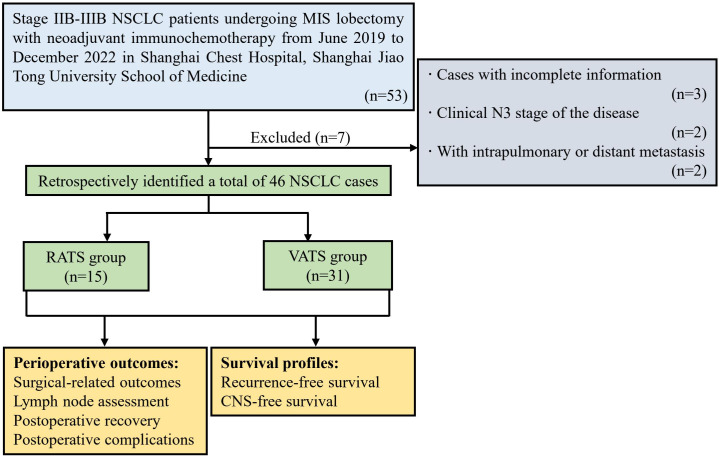 Figure 1