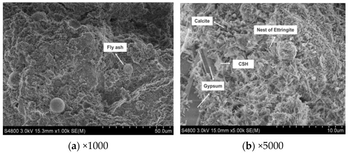 Figure 21