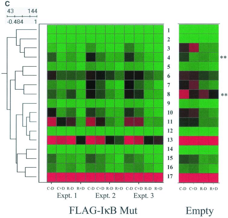 FIG. 7.