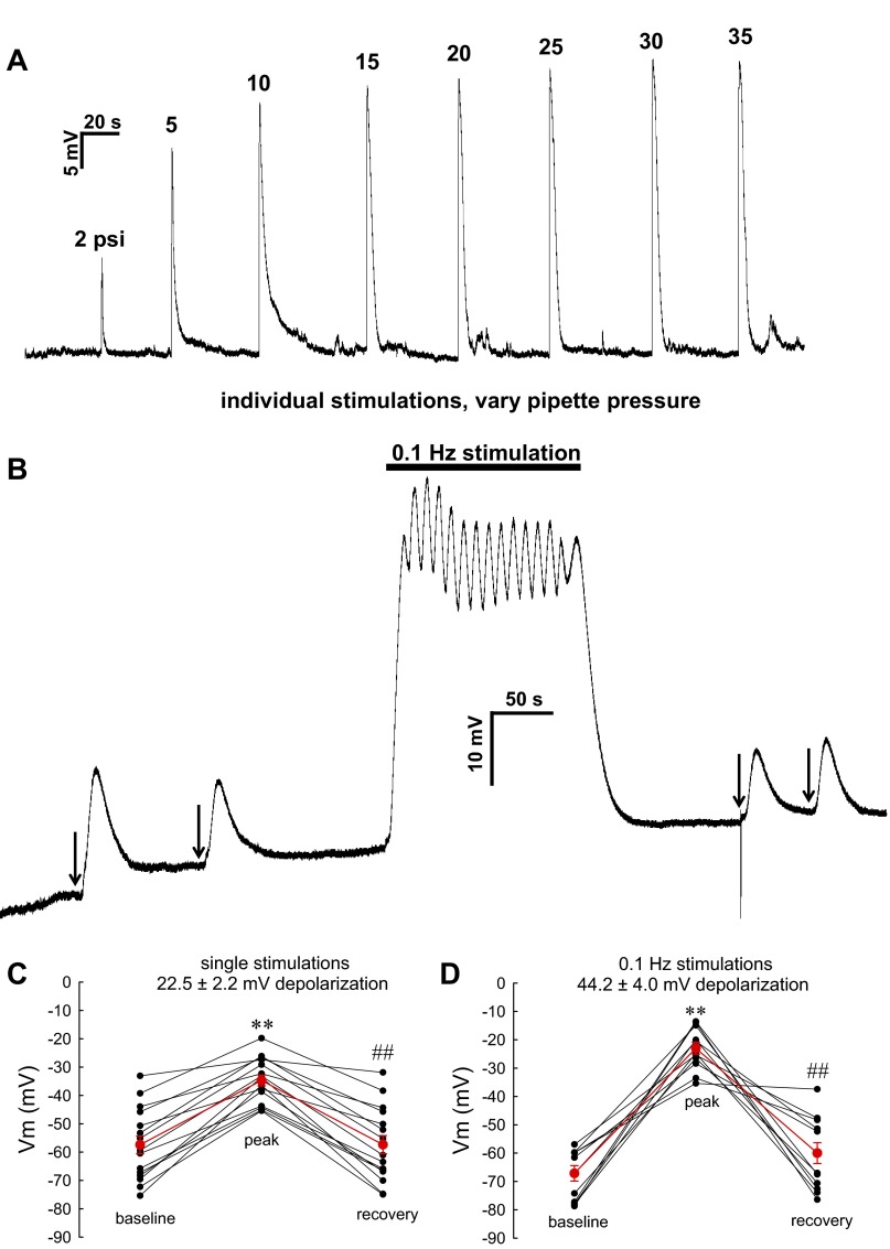 Fig. 9.