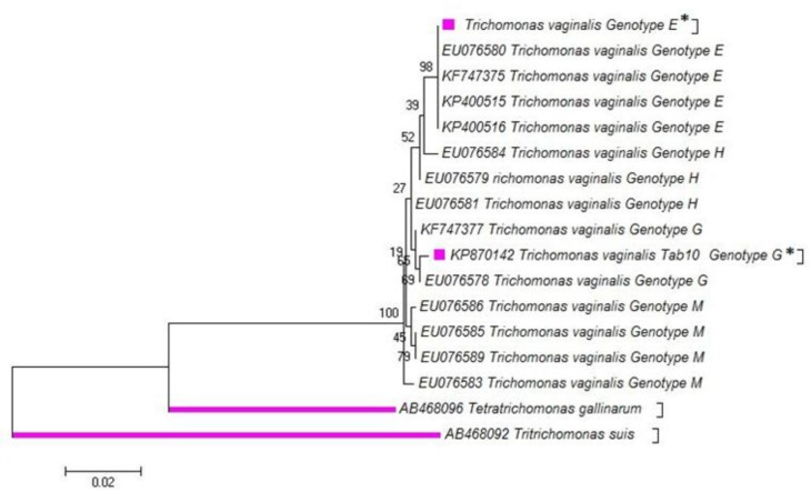 Fig. 2: