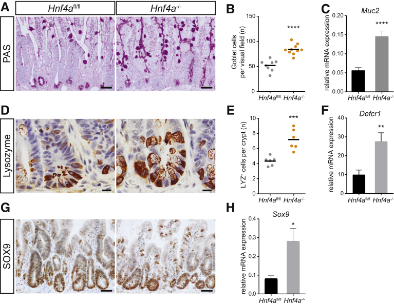 Figure 6