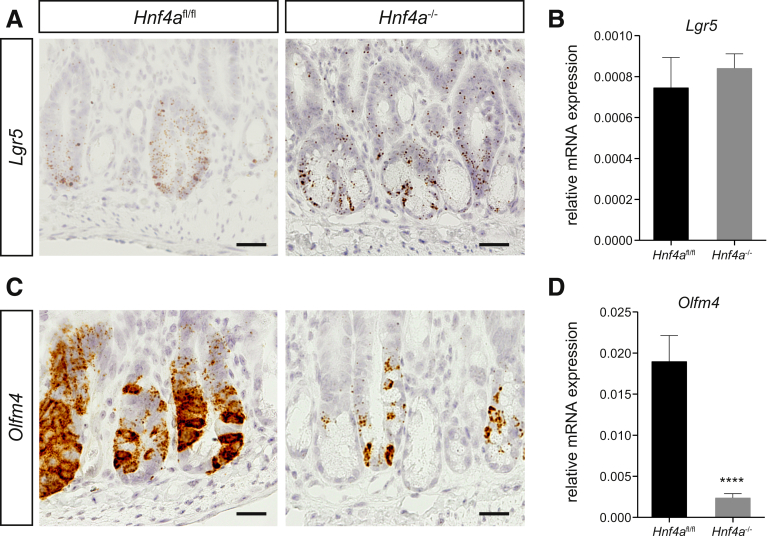 Figure 5