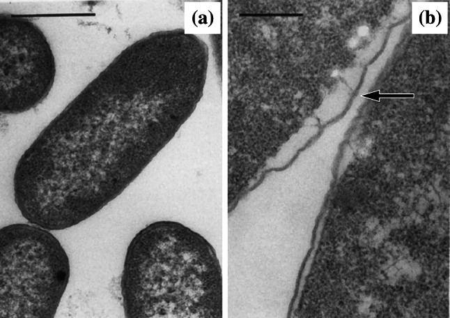 Fig. 9