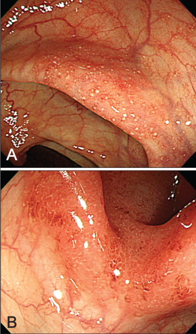 Figure 1)