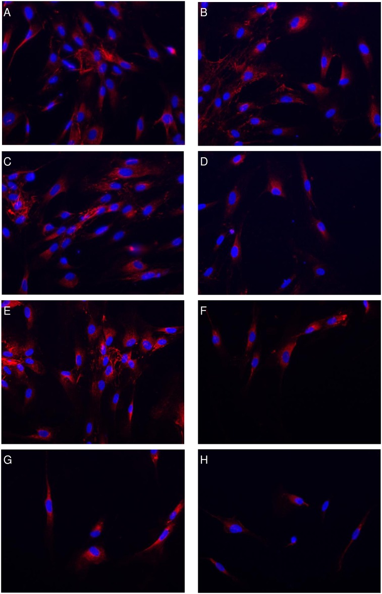 Fig 6