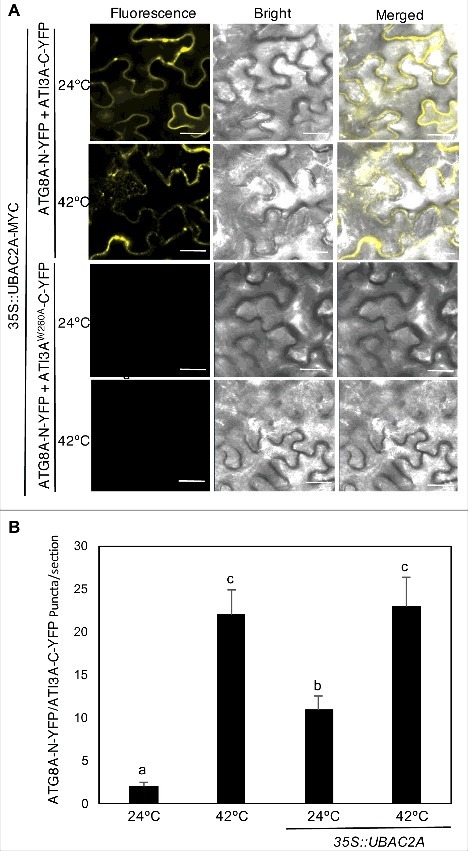 Figure 12.