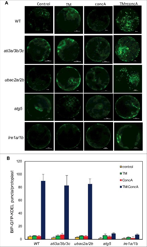 Figure 14.