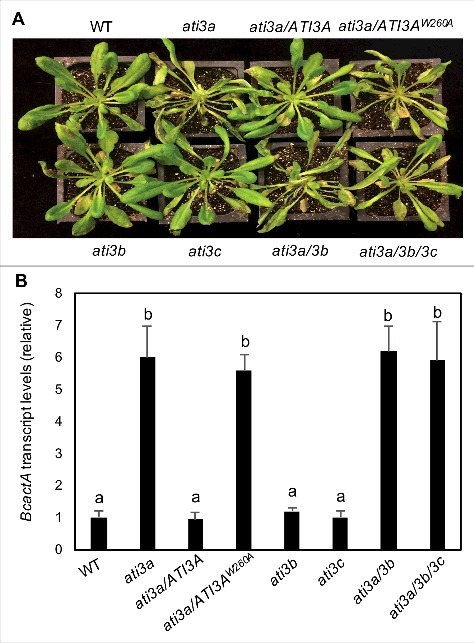 Figure 6.