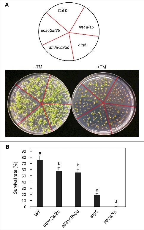 Figure 13.