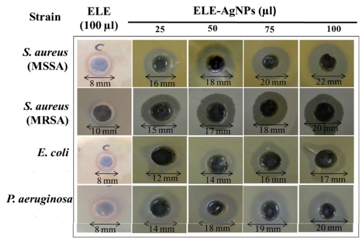 Figure 10