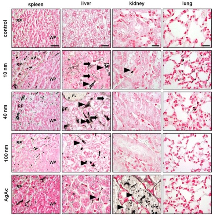 Figure 26