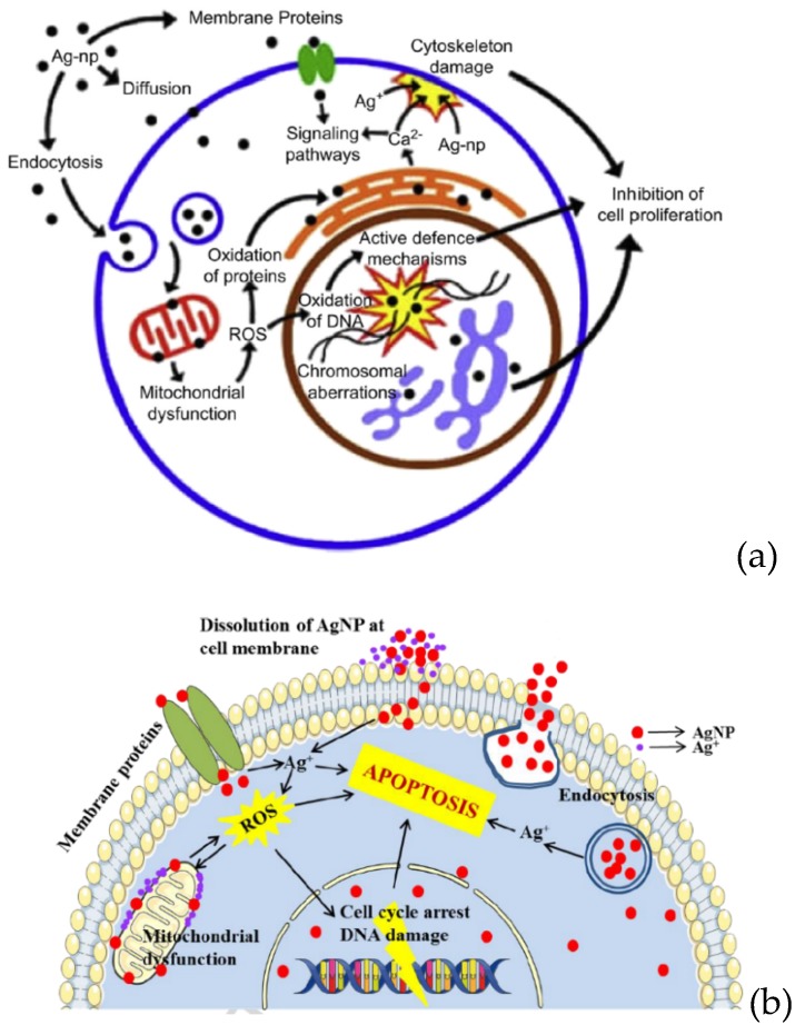 Figure 17